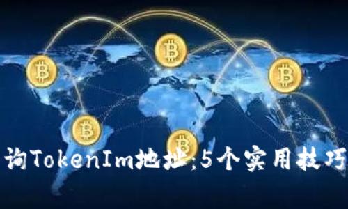 如何快速查询TokenIm地址：5个实用技巧与注意事项