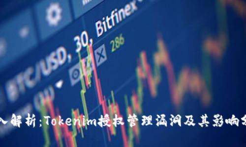 深入解析：Tokenim授权管理漏洞及其影响分析