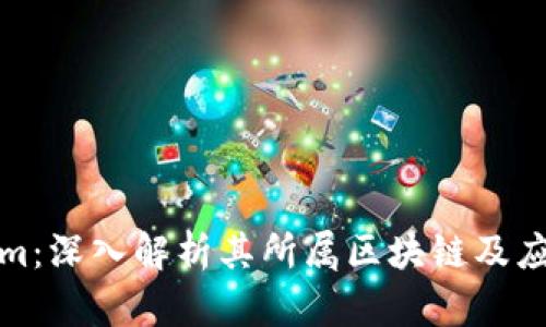 Tokenim：深入解析其所属区块链及应用前景