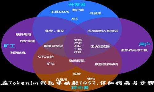 如何在Tokenim钱包中映射IOST：详细指南与步骤解析