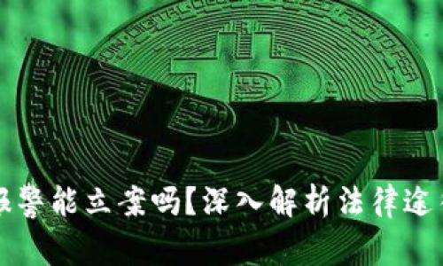 虚拟币被骗报警能立案吗？深入解析法律途径与实际案例
