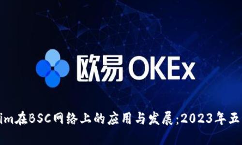 详解Tokenim在BSC网络上的应用与发展：2023年五大成功案例
