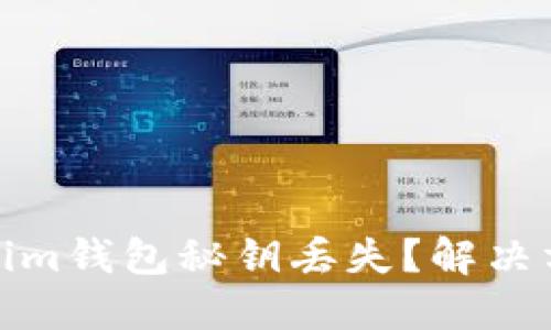 如何应对Tokenim钱包秘钥丢失？解决方案和预防措施