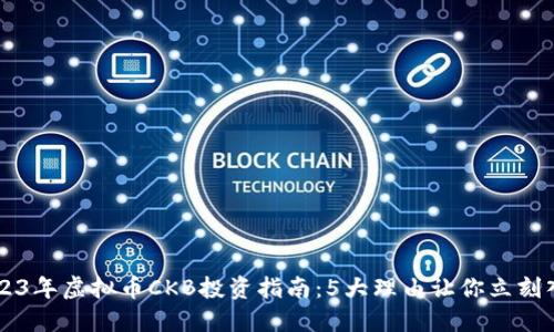 2023年虚拟币CKB投资指南：5大理由让你立刻入手