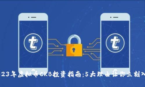 2023年虚拟币CKB投资指南：5大理由让你立刻入手