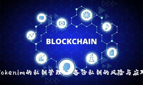 理解Tokenim的私钥管理：不备份私钥的风险与应对策略
