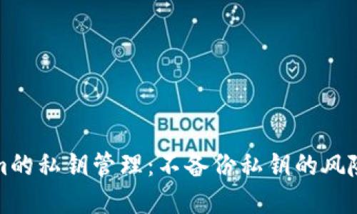 理解Tokenim的私钥管理：不备份私钥的风险与应对策略