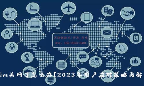 Tokenim关网了怎么办？2023年用户应对策略与解决方案